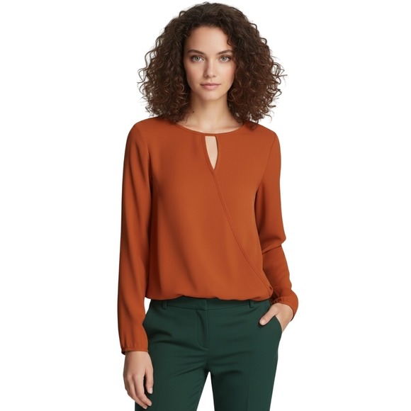 Theory Aija Wrap Front Long Sleeve Top Blouse Keyhole Burnt Orange P/S
Nwot $199 - Picture 1 of 10